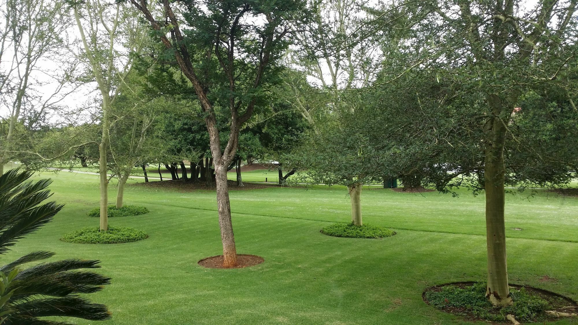 The Woodpecker Inn Pretoria-Noord Kültér fotó